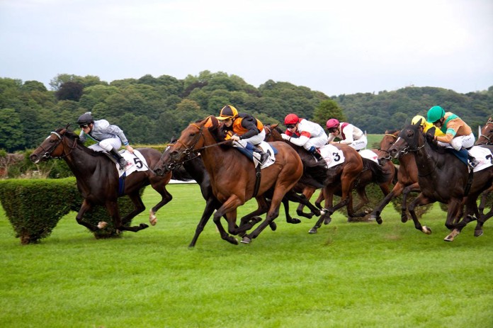 Bet365 Pferdewetten